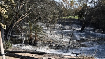 Αρκτική: Στις φλόγες μεγάλες δασικές εκτάσεις - Για ανυπολόγιστη καταστροφή μιλούν οι επιστήμονες