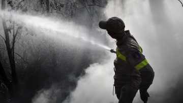 Μεγάλη η περιβαλλοντική καταστροφή από τη φωτιά στην Αρχαία Ολυμπία