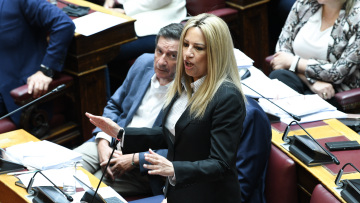 Φώφη Γεννηματά: Έκκληση για ρεαλιστική και αποτελεσματική λύση στο θέμα του ασύλου