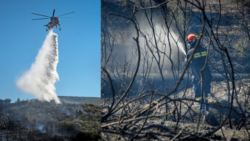 Ξέσπασαν 59 φωτιές σε ένα 24ωρο - Σε ύφεση όλα τα μέτωπα 