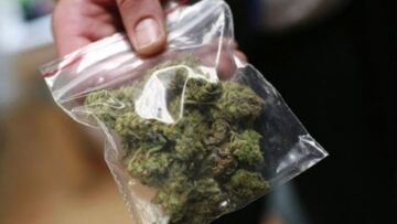 Ηράκλειο: Ανακάλυψαν φυτεία με 76 χασισόδεντρα 