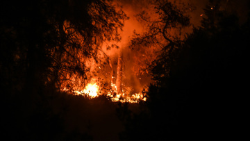 Φωτιά στην Εύβοια: Χωρίς ρεύμα η περιοχή γύρω από το μέτωπο