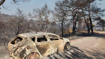 Φωτιά στην Εύβοια: «Μαύρο» το δάσος που κάηκε - Δείτε βίντεο και φωτογραφίες