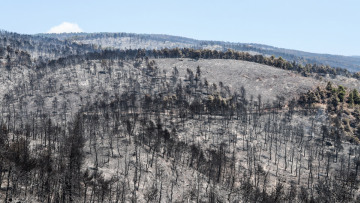 Εύβοια: Ασύλληπτη η καταστροφή που αφήνει πίσω της η φωτιά