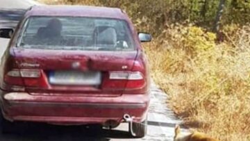 Κρήτη: Συνελήφθη ο 73χρονος που φέρεται να «έσυρε» σκύλο με το αυτοκίνητό του