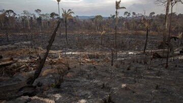 Πυρκαγιές στον Αμαζόνιο: Τα πύρινα μέτωπα συνεχίζουν να αυξάνονται και να επεκτείνονται