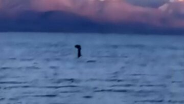 Το τέρας του Λοχ Νες μπορεί να ήταν ένα τεράστιο χέλι, σύμφωνα με έρευνα