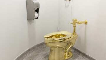 Βρετανία: Μια τουαλέτα από χρυσό 18 καρατίων εκλάπη από το Ανάκτορο Μπλένιμ