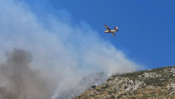 Δήμαρχος Ζακύνθου: Το 90% των πυρκαγιών στο νησί είναι από εμπρησμό