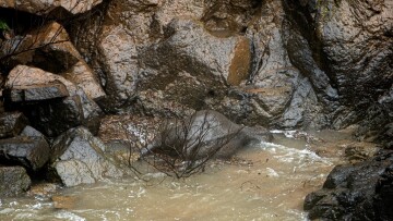 Ταϊλάνδη: Έξι ελέφαντες πνίγηκαν σε καταρράκτη