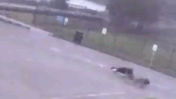 Τέξας: Κεραυνός χτύπησε και σώριασε στο έδαφος άντρα, στη βόλτα με τα σκυλιά του