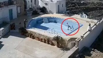 Φολέγανδρος: Η γάτα επέζησε από την κακοποίηση των δύο παιδιών - Παραμένει η δίωξη σε βάρος τους