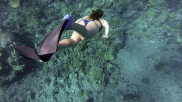 Απαγόρευση επισκέψεων και καταδύσεων στο καταδυτικό πάρκο του Αποκόρωνα Χανίων
