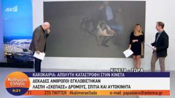 Γουρούνι δάγκωσε ρεπόρτερ του Παπαδάκη on air - Ούρλιαζε ο δημοσιογράφος 
