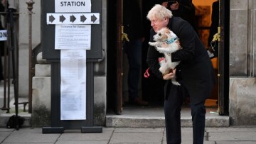 Βρετανία: Με σκύλους, γάτες... και τάρανδους στα εκλογικά κέντρα!