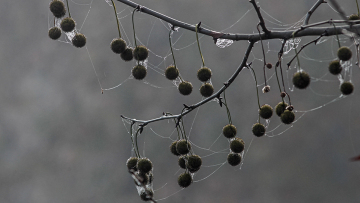 Χριστούγεννα: Σε ποια μέρη της Ελλάδας έχει το περισσότερο κρύο σήμερα