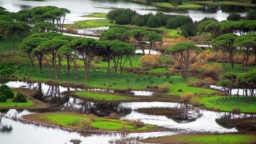 «Άγρια Δύση» στο Πάρκο Κοτυχίου - Στροφυλιάς: Λαθροθήρας με τζετ-σκι πυροβόλησε κατά πολιτών 