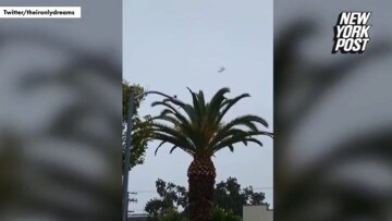 Κόμπι Μπράιαντ: Βίντεο-σοκ φέρεται να δείχνει το ελικόπτερο να κάνει κύκλους πριν τη συντριβή