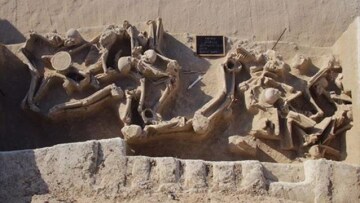 Δεσμώτες του Φαλήρου: Το ΚΑΣ πήρε θέση για την προστασία τους