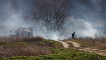 Έβρος: Μετανάστες έβαλαν φωτιά σε δασική έκταση στο χωριό Στέρνα και στο Νεοχώρι
