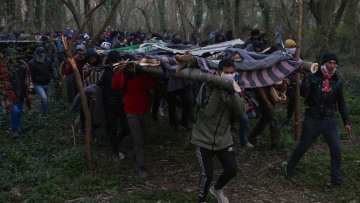 Μετανάστες στον Έβρο: Με αυτοσχέδιες σκάλες προσπάθησαν να περάσουν τα σύνορα - Δείτε βίντεο και φωτογραφίες