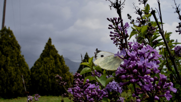 Καιρός: Πάσχα με ήλιο και 27άρια - Δείτε χάρτες με τις υψηλές θερμοκρασίες
