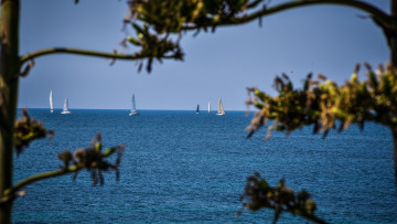 Καύσωνας - Καιρός: Σπάνιος και ανά δεκαετία ο καύσωνας του Μαΐου - Δεν σχετίζεται με τον κορωνοϊό, λέει ο Χαράλαμπος Φείδας