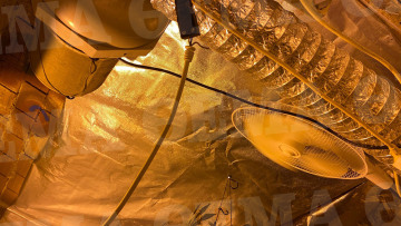 Πειραιάς: «Μαριχουάνα Στοπ» σε διαμέρισμα - φυτεία