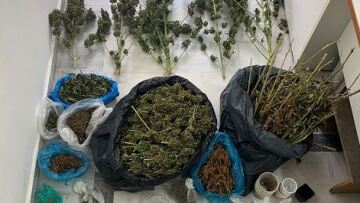 Σπάρτη: Πέντε κιλά κάνναβης και μίνι χασισοφυτεία σε σπίτι στη Μάνη