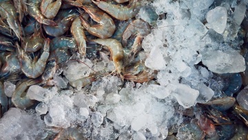 Κορωνοϊός: Εντοπίστηκαν ίχνη του ιού σε συσκευασίες γαρίδων από τον Ισημερινό στην Κίνα