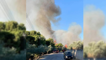 Φωτιά: Σε εξέλιξη φωτιά στο Λουτράκι Κορινθίας 