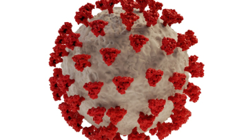 Κορωνοϊός: Σε πόσους μήνες χάνουν τη φυσική ανοσία όσοι ασθένησαν