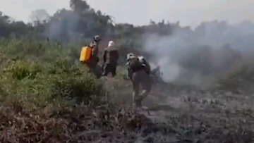 Βραζιλία: Ρεκόρ πυρκαγιών στον υδροβιότοπο με την περισσότερη υγρασία στον κόσμο