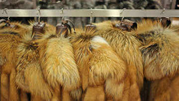 Μαφιόζικη επιχείρηση ομογενών: Ντύθηκαν αστυνομικοί και λήστεψαν φορτηγό με γούνες 