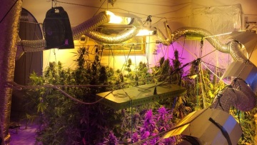 Εξαρθρώθηκε κύκλωμα που «έσπρωχνε» κοκαΐνη και κάνναβη σε Μύκονο και Αθήνα