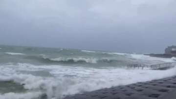 Τυφώνας Maysak: Αγνοείται πλοίο με 43 ναύτες πλήρωμα και χιλιάδες ζώα φορτίο στη θάλασσα της Ιαπωνίας