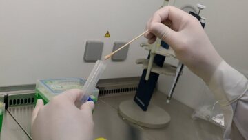 Κορωνοϊός: Πότε φέρνουν καλύτερα αποτελέσματα τα τεστ αντισωμάτων