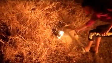 Λέσβος, βίντεο-ντοκουμέντο: Έτσι έβαλαν οι Αφγανοί τις φωτιές που κατέκαψαν τη Μόρια