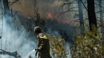Δεύτερη νύχτα θρίλερ στην Αλεξανδρούπολη - Οι άνεμοι αναζωπύρωσαν τις διάσπαρτες εστίες 