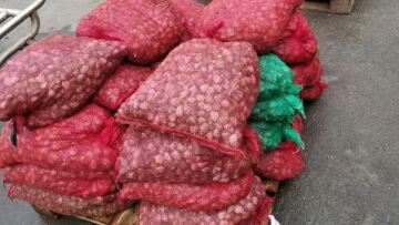 Πάνω από ένας τόνος ακατάλληλα όστρακα στην Καβάλα