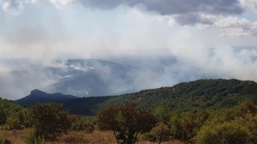 Φωτιά στη Λευκίμμη Έβρου: Ανέβηκε στην περιοχή ο αρχηγός της Πυροσβεστικής