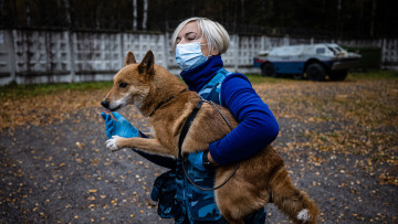 Κορωνοϊός: Σκύλοι εκπαιδεύονται για να ανιχνεύουν τον ιό - Δείτε φωτογραφίες