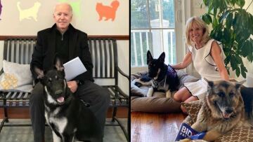 Αμερικανικές εκλογές: Επιστρέφουν τα κατοικίδια στον Λευκό Οίκο - Δείτε τα δύο σκυλιά της οικογένειας Μπάιντεν