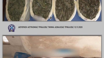 Τρίκαλα: Σκύλος βρήκε 2,5 κιλά κάνναβης σε μαντρί