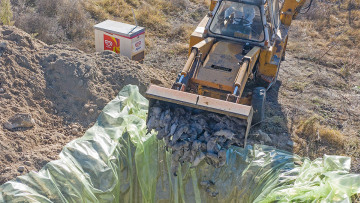 Κοζάνη: Ξεκίνησε η θανάτωση 2.500 μινκ που βρέθηκαν θετικά στον κορωνοϊό