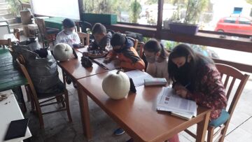 Απίστευτες εικόνες: Μαθητές κάνουν τηλεκπαίδευση με μπουφάν και κινητό σε καφενείο της Ηλείας!