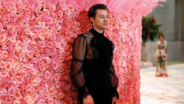 Harry Styles: Αρσενική θηλυκότητα