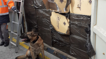 Διεθνές κύκλωμα λαθραίων τσιγάρων εντόπισε η ΑΑΔΕ