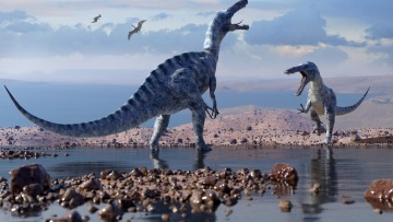 Οι κροκόδειλοι «νίκησαν» τους δεινόσαυρους: Πώς επιβίωσαν από την πτώση μετεωρίτη πριν 66 εκατ. χρόνια