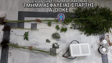 Σπάρτη: Μίνι χασισοφυτεία εσωτερικού χώρου